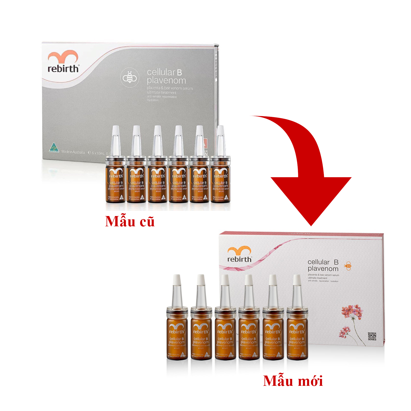 Bô 6 ống Serum tế bào gốc Nhau thai cừu và Nọc ong Rebirth Cellular B Plavenom Gift Set 10ml - Ngăn ngừa nám, chống lão hóa, làm trắng da