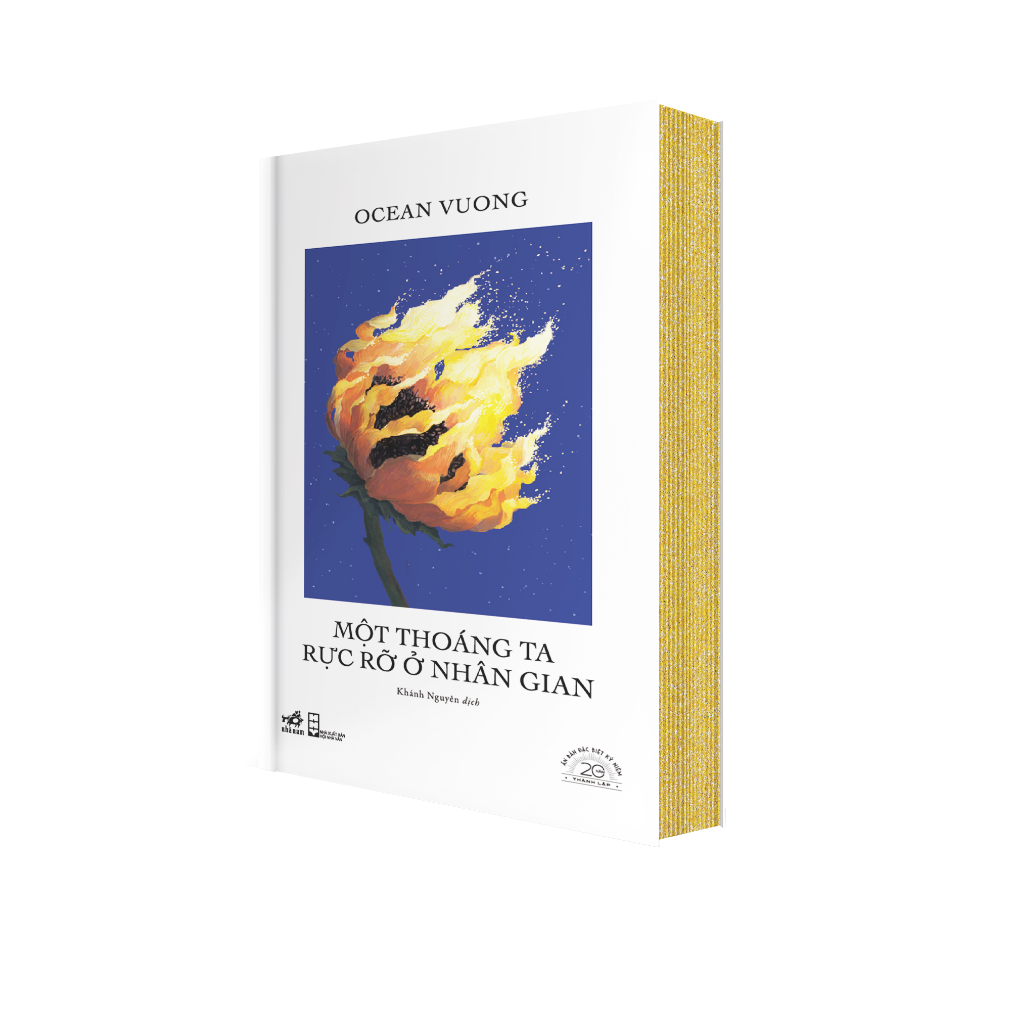 Sách Một Thoáng Ta Rực Rỡ Ở Nhân Gian - Ấn Bản Đặc Biệt 20 Năm Thành Lập Nhã Nam - Bìa Cứng