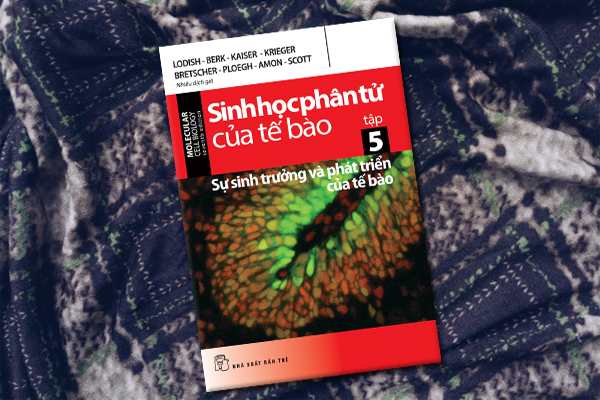 Sinh Học Phân Tử Của Tế Bào Tập 5: Sự Sinh Trưởng Và Phát Triển Của Tế Bào