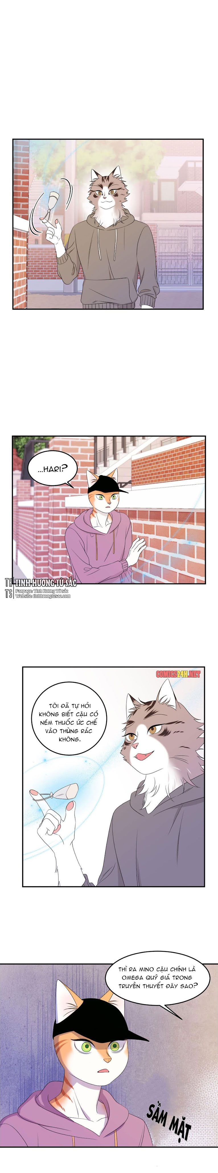 dự án xanh chapter 13 3