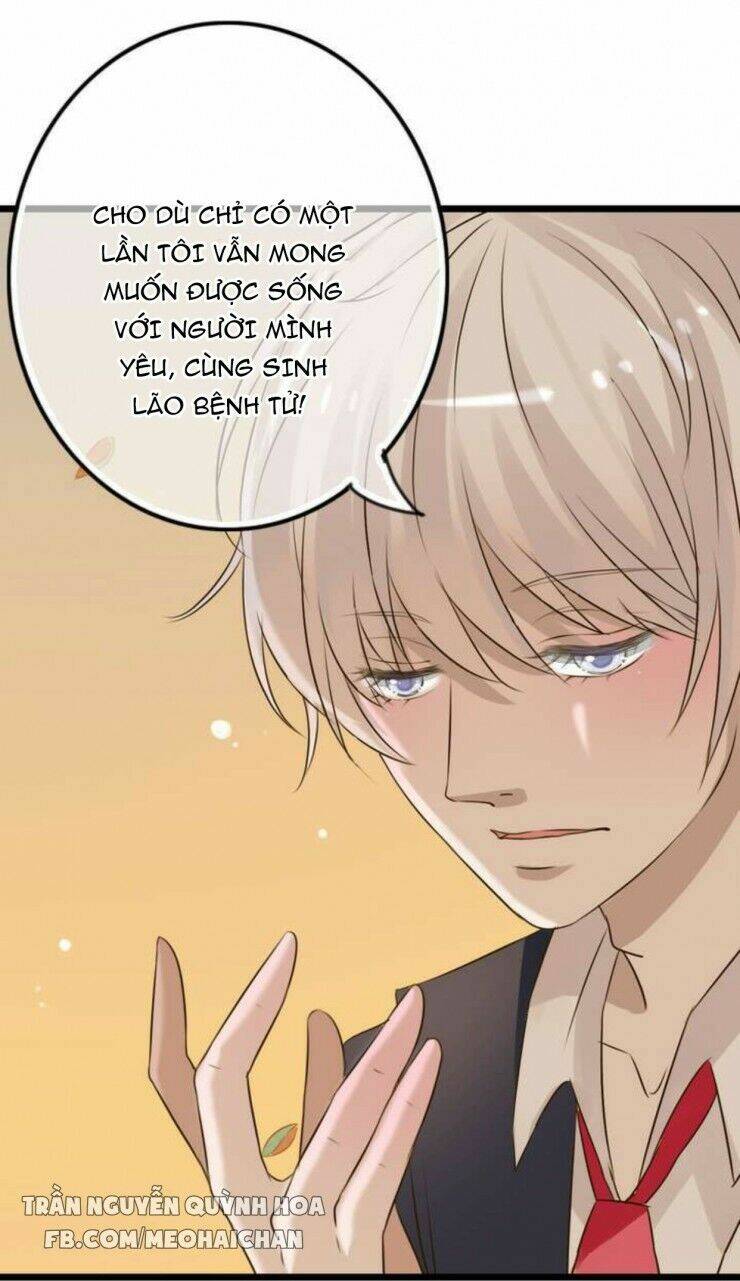 sau con mưa mùa hạ chapter 4 4