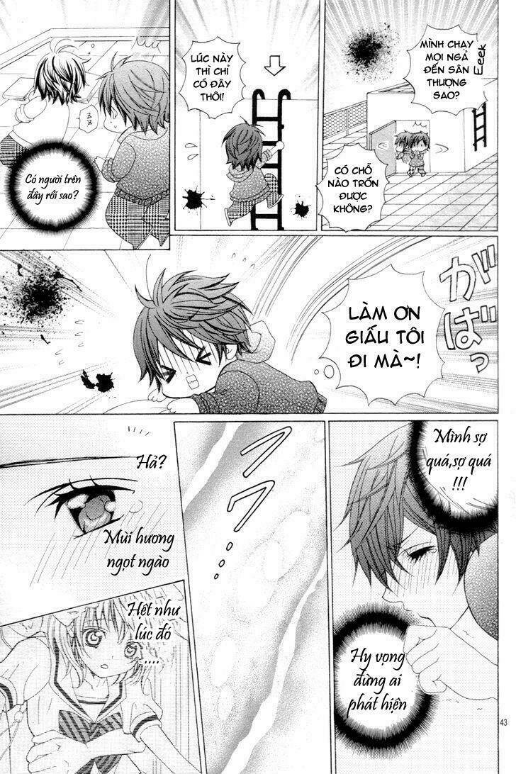 cuộc gặp gỡ diệu kỳ chapter 1 38