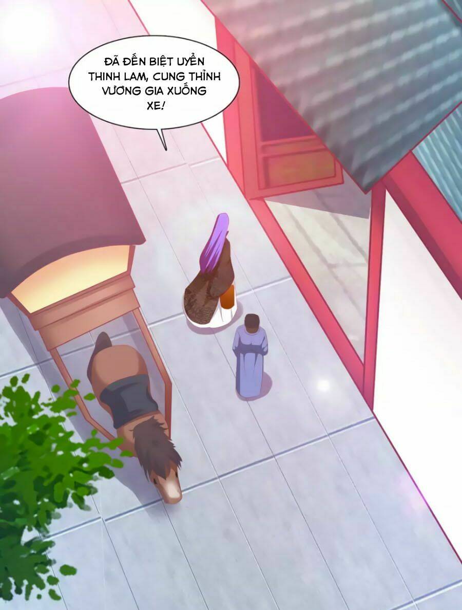 thỏ yêu tiểu vương phi chapter 38 14