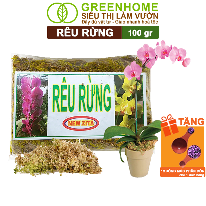 Rêu rừng Greenhome, Newzita, Gói 100gr, Đã Qua Xử Lý, Giá Thể, Giữ Ẩm Tốt, Kháng Khuẩn Tự Nhiên, Trồng Lan, Kiểng Lá