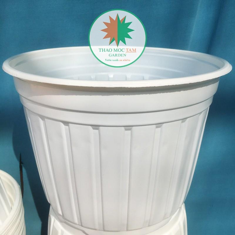 5c Chậu nhựa trồng cây 26x20cm - Chậu nhựa trồng hoa, phù hợp các dòng hoa bụi lớn, chậu trồng hoa hồng