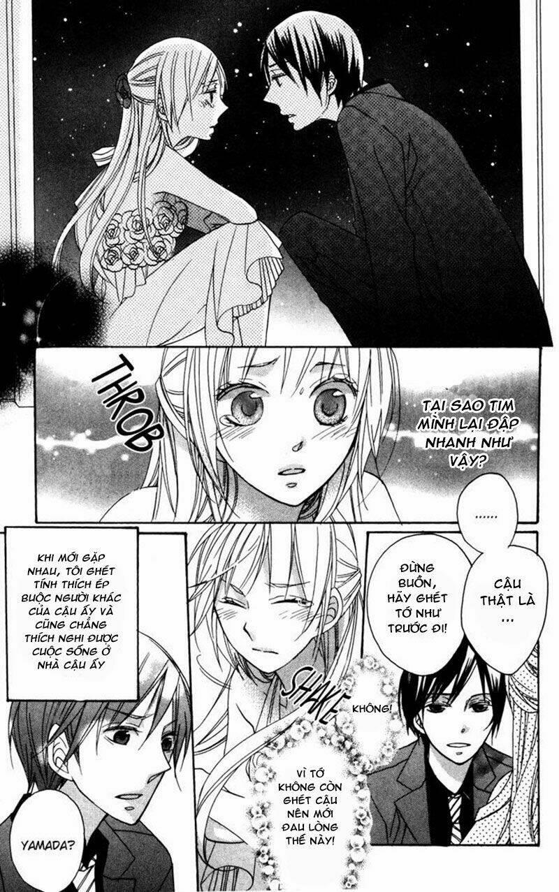 hoa hồng hoang dã chapter 6 28