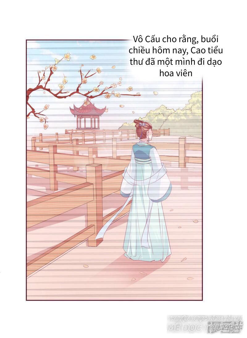 thịnh thế vô cấu chapter 8 6