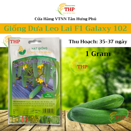 Hạt giống Dưa Leo lai F1 Galaxy 102 gói 1gr