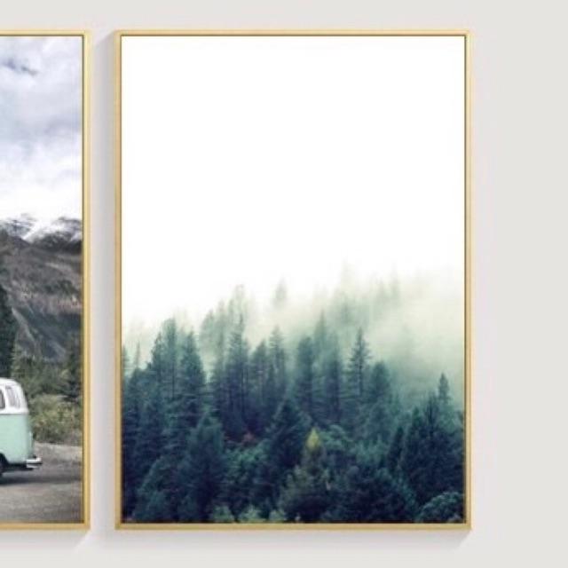 Tranh canvas rừng thông 40x60cm có khung viền