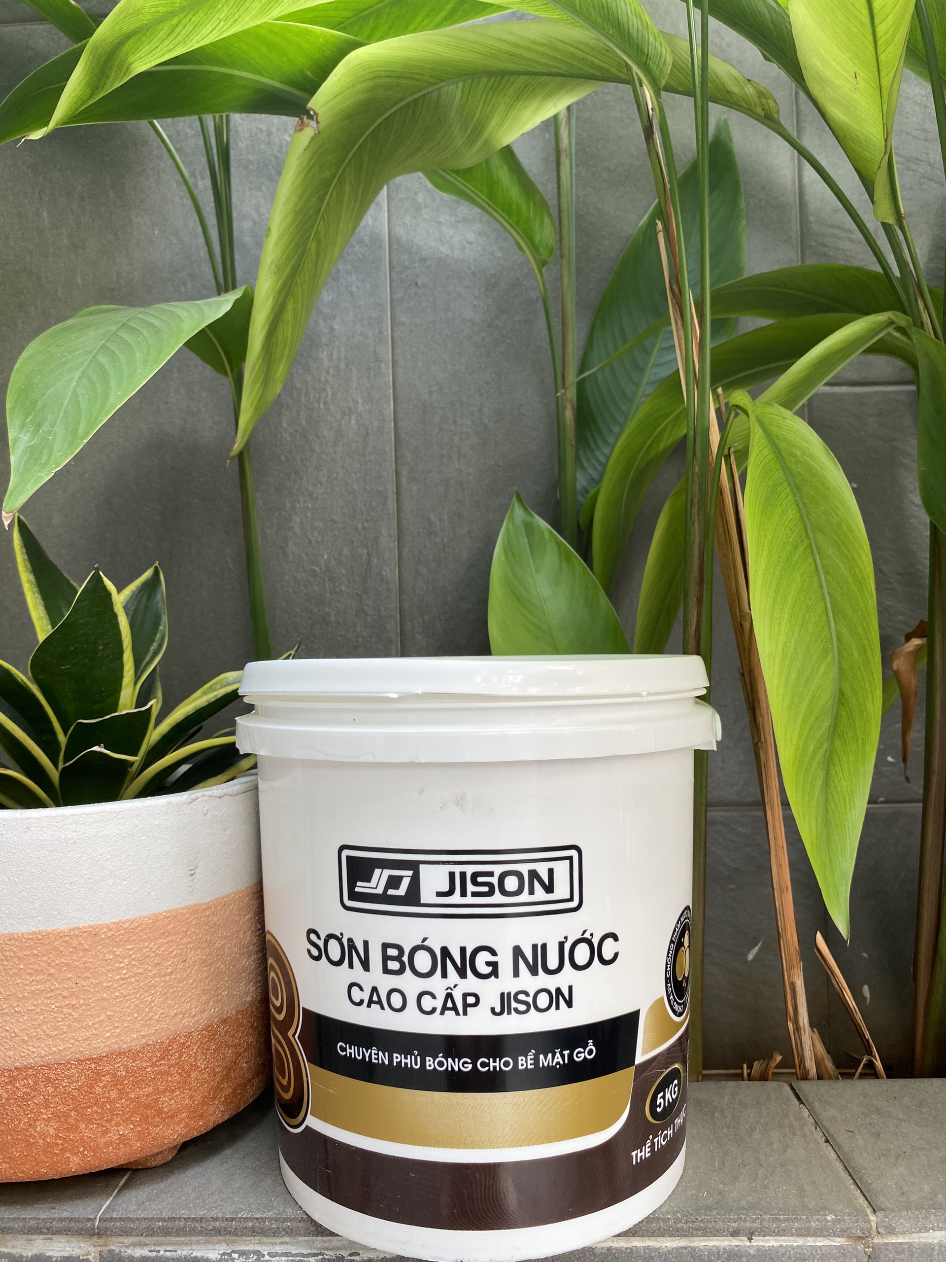 Sơn Bóng nước Gỗ Jison