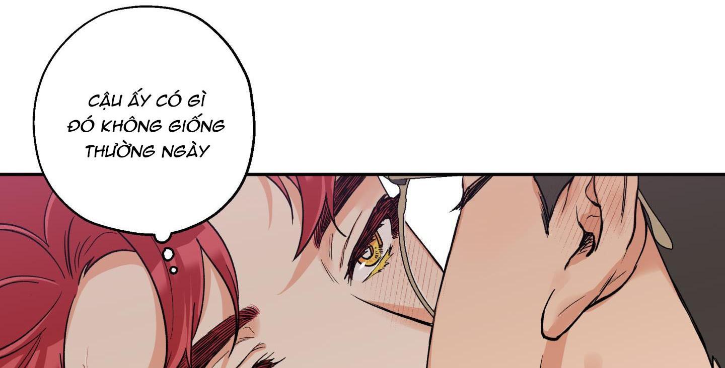 gâu gâu! chapter 39 11