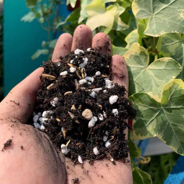 Soil Mix Đất Trồng Sen Đá Xương Rồng - 6kg
