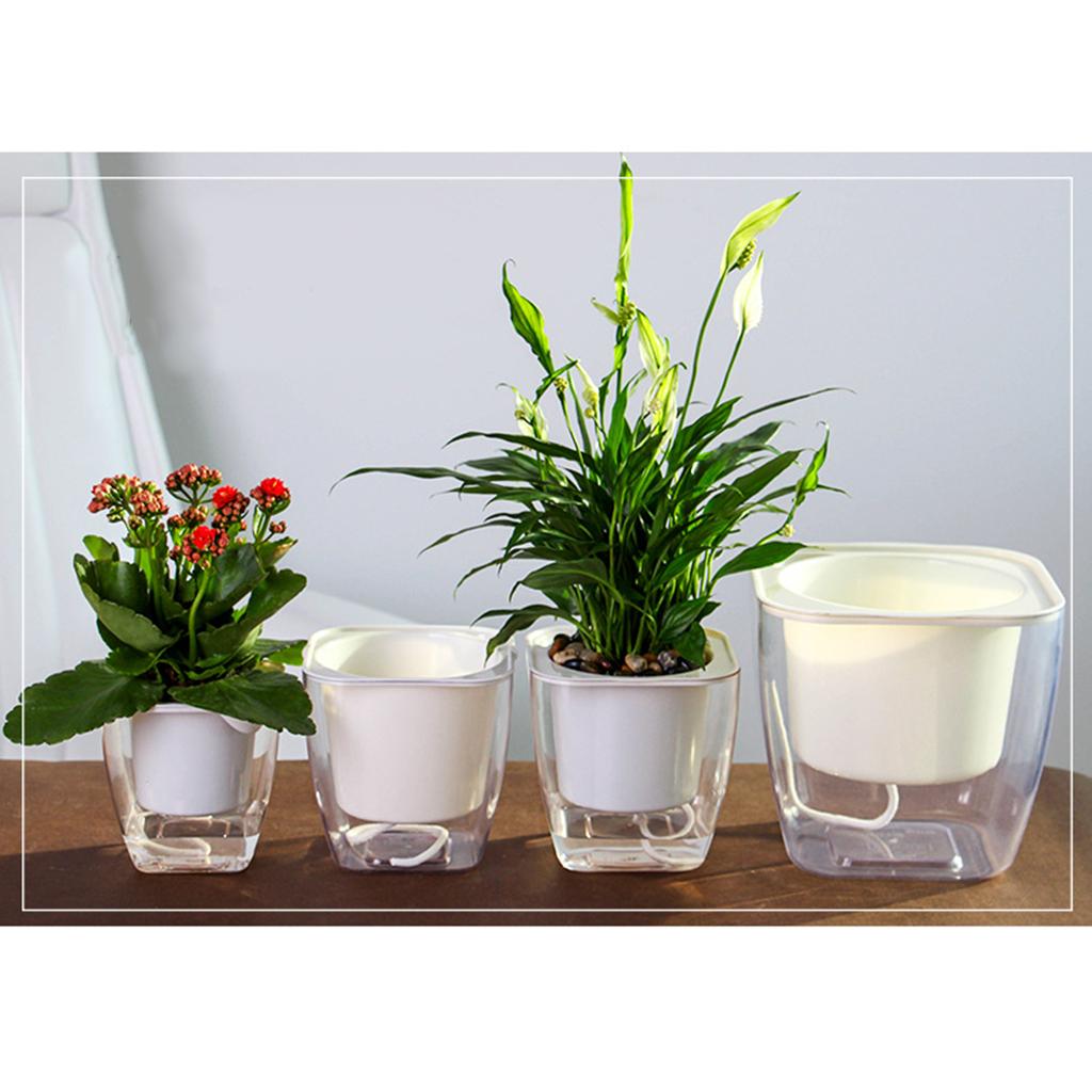 Transparent Flower Self-watering Planter Flower Basket