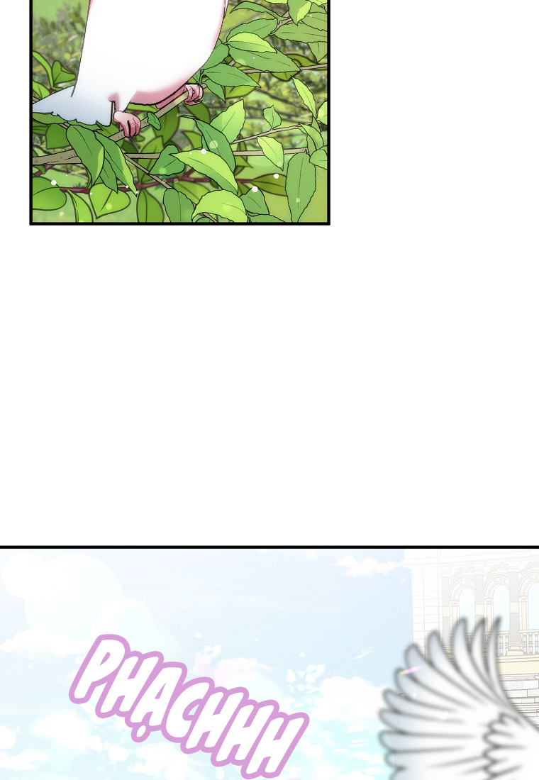 tôi sẽ cố gắng bảo vệ em gái chapter 34 44