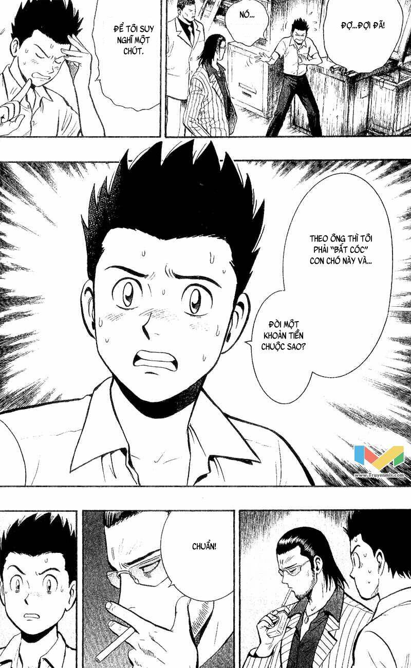 animal sense chapter 3 8