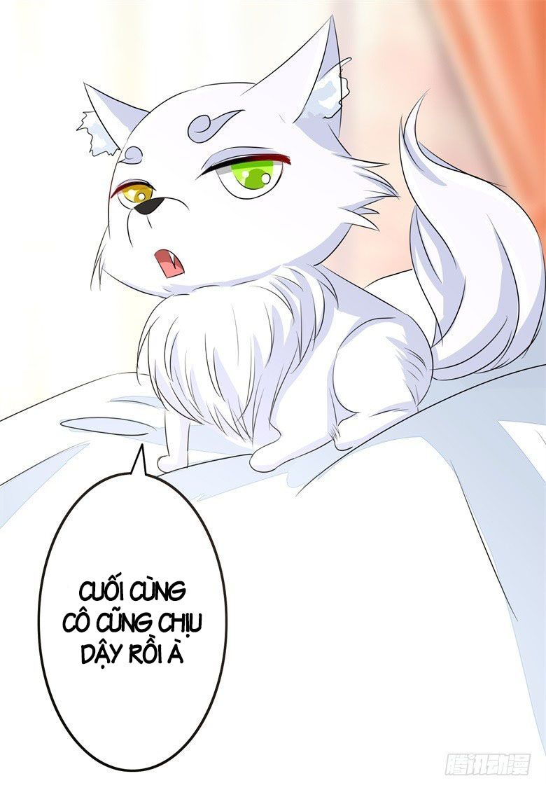 Dân Quốc Yêu Văn Lục chapter 64 - Trang 7