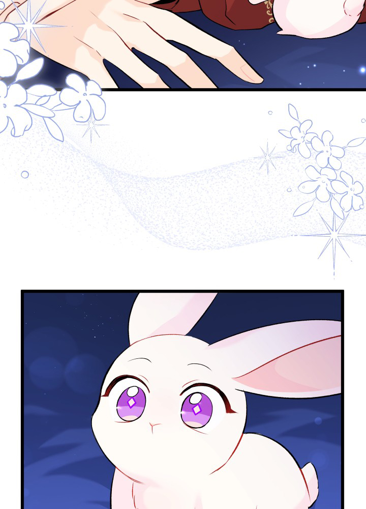 mối liên kết giữa báo đen và bé thỏ chapter 46 82