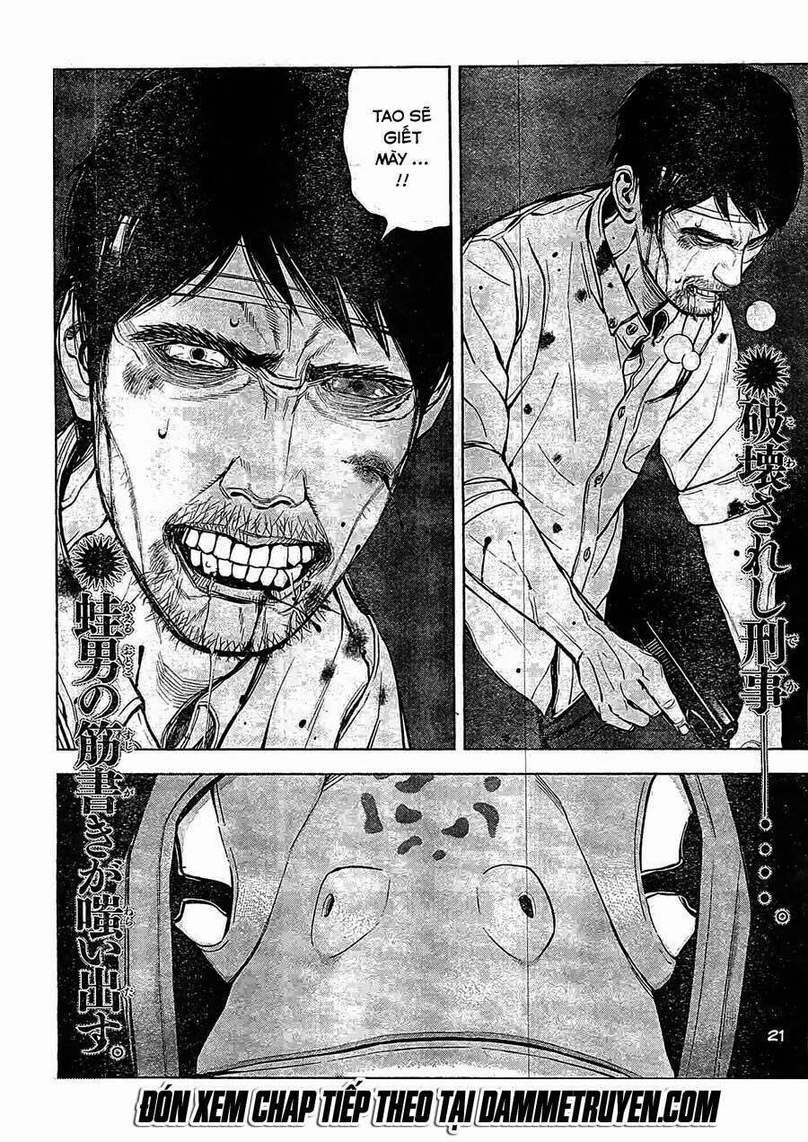 museum chapter 20 20