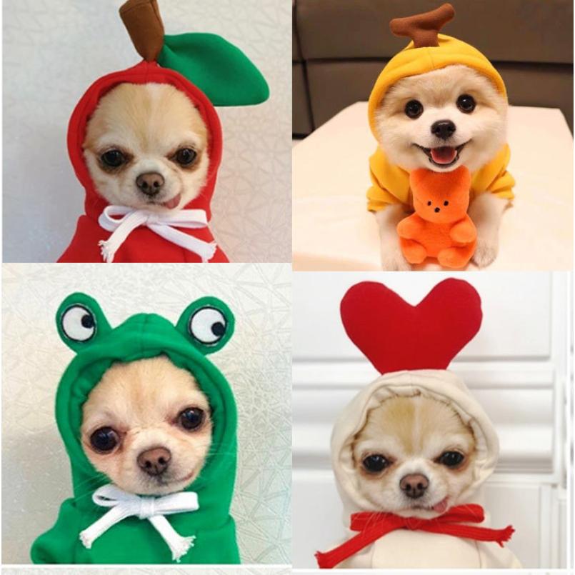 Áo hình ảnh trái cây CUTE cho Chó Mèo có mũ - Quần áo thú cưng (2 chân) Có size To