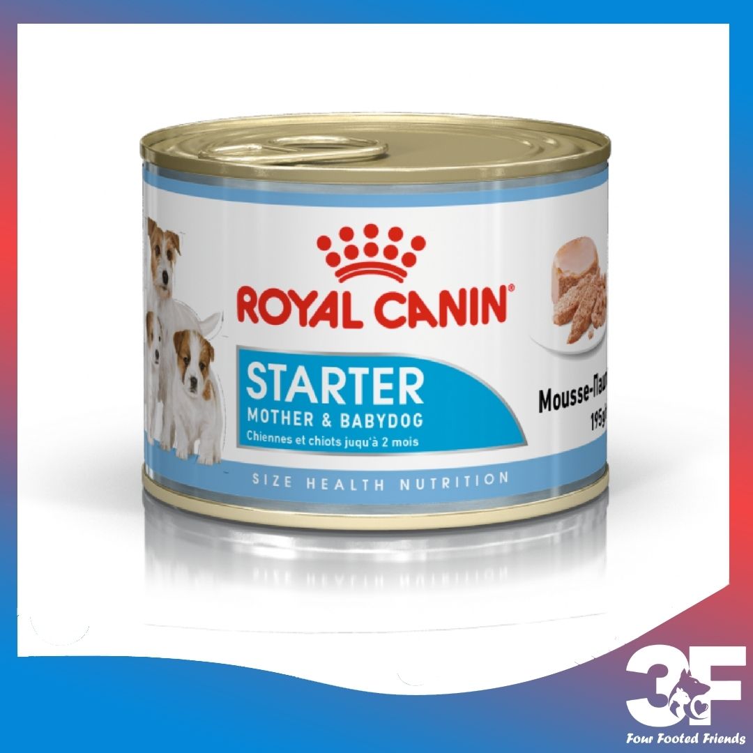 Pate thức ăn ướt Royal Canin Starter Mousse Mother &amp; Babydog Dành Cho Chó Mẹ Mang Thai VÀ Cho Con Bú, Chó Con Dưới 2 Tháng Tuổi Dạng Loaf - Lon 195gr