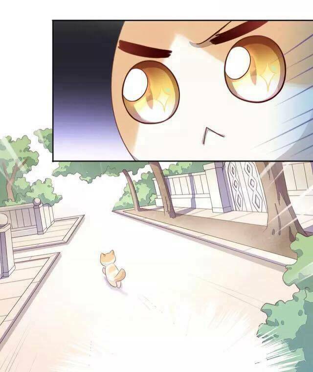 dưới móng vuốt mèo chapter 14 40