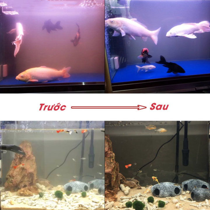 Khối Than Hoạt Tính Làm Sạch Bể Nước Hiệu Quả- Hàng Nhập Khẩu
