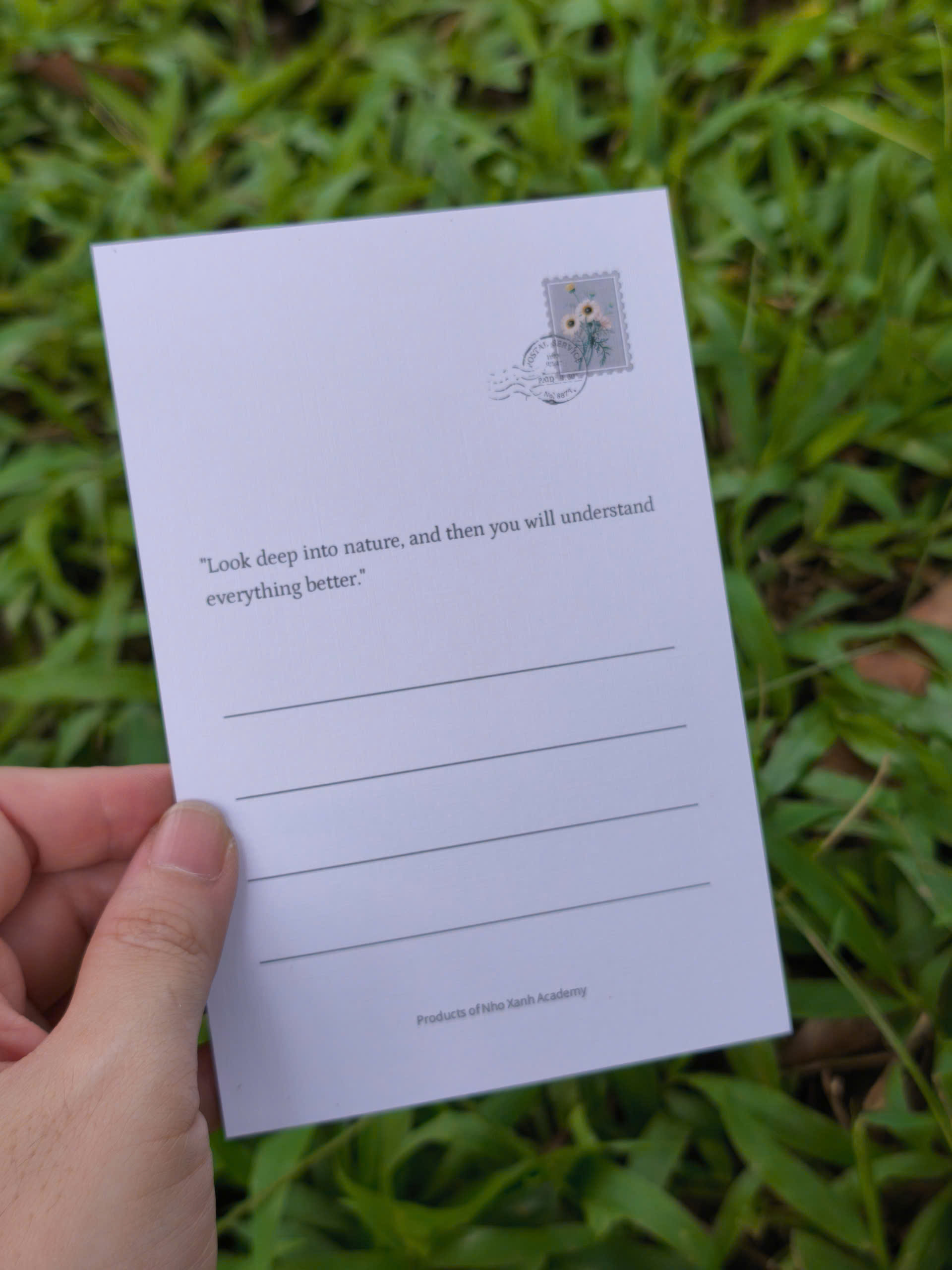 BỘ 100 POSTCARD PETALA & FOLIA - Minh Họa Thực Vật Nghệ Thuật - Giấy Mỹ Thuật 300g Cao Cấp - Nho Xanh