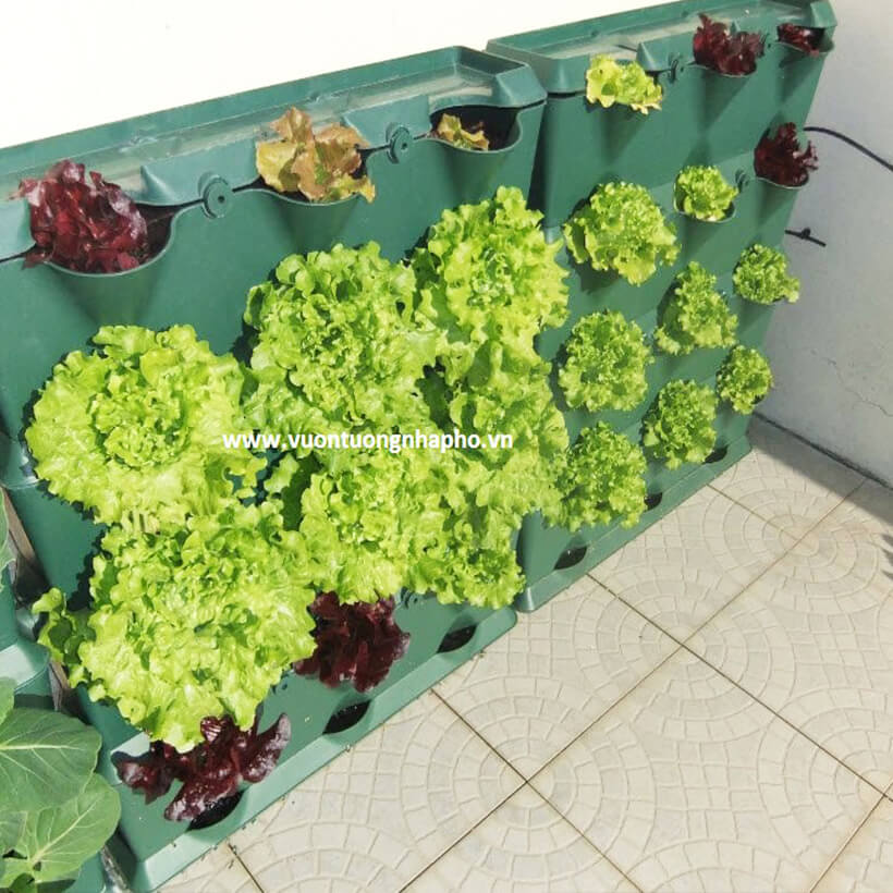 Khung Module Rau Ban Công dạng Đứng VerticalMinigarden nhập khẩu Bồ Đào Nha với 8 chậu kèm 2 Tray hứng nước và bộ dây tưới nhỏ giọt lắp sẵn