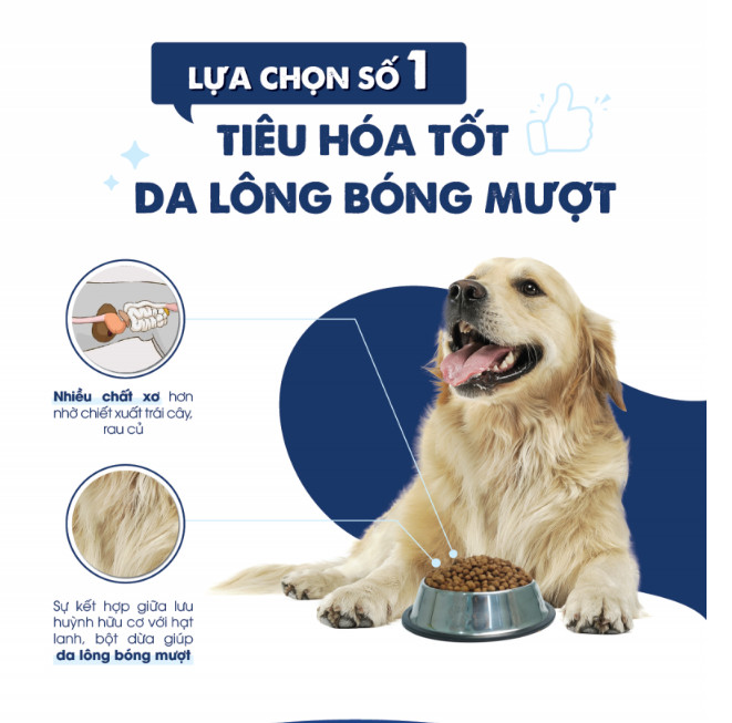 - Thức ăn hạt cho chó thơm ngon, bổ dưỡng TODAY'S DINNER