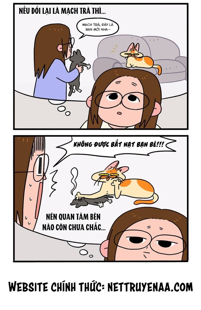 a mãn và mạch trà chapter 16.1 6