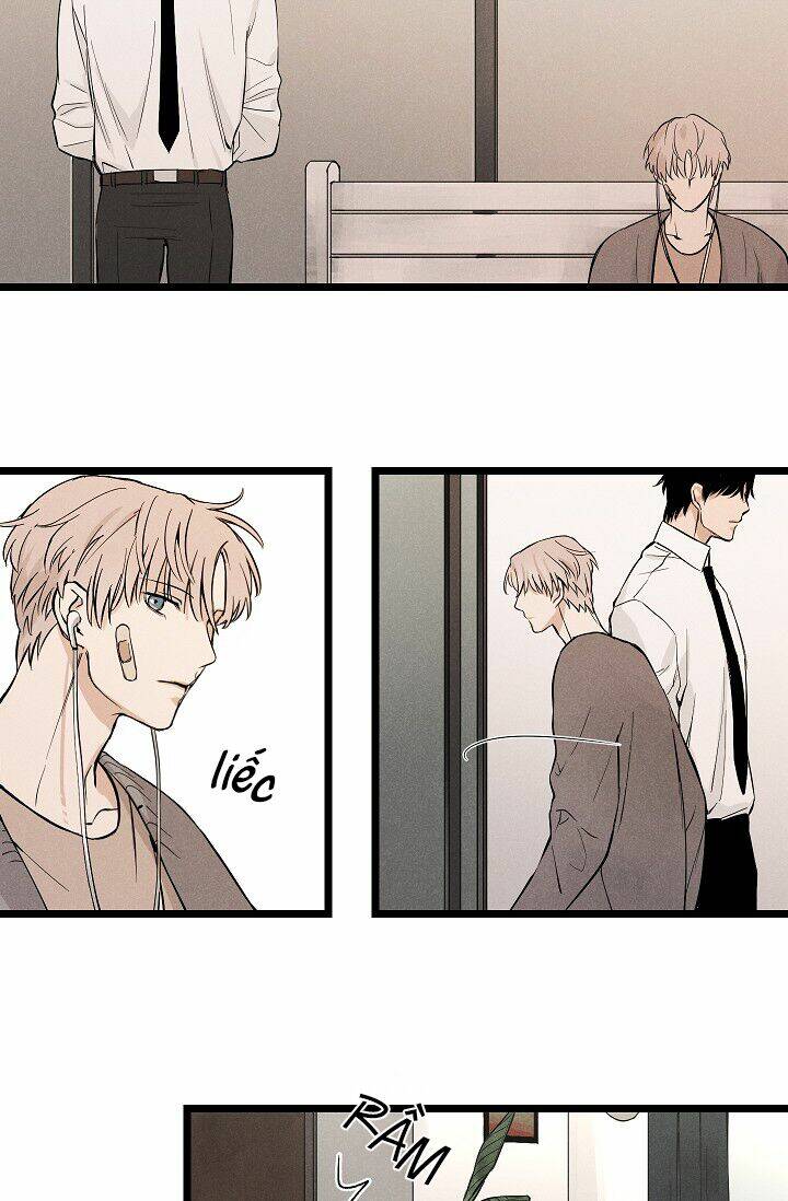 trốn tìm chapter 1 36