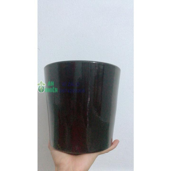 Chậu Sứ Trồng Cây