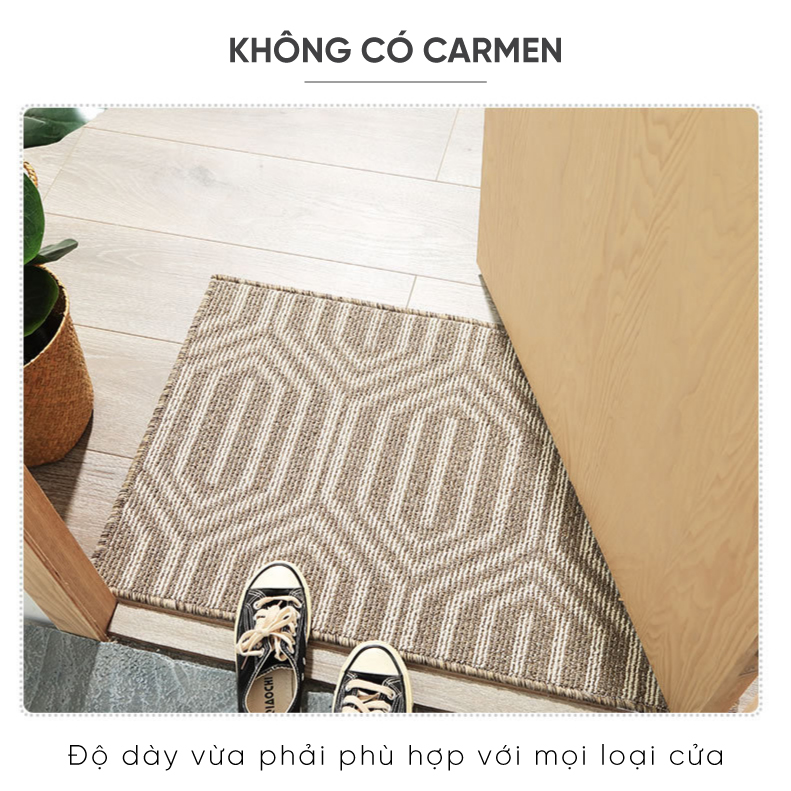 Thảm trang trí – Thảm chùi giầy dép ngay cửa nhà, Kích thước 50x80cm. Thảm chùi giầy dép chịu được ma sát tốt