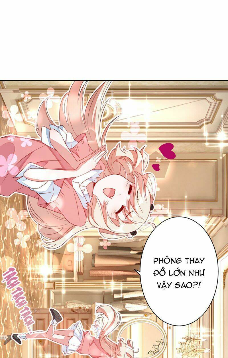 thiên thần gấu trúc muốn được ôm chapter 33 4