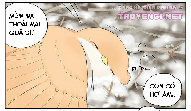 sẻ chiếu mới và nhạn phong sương chapter 5 13