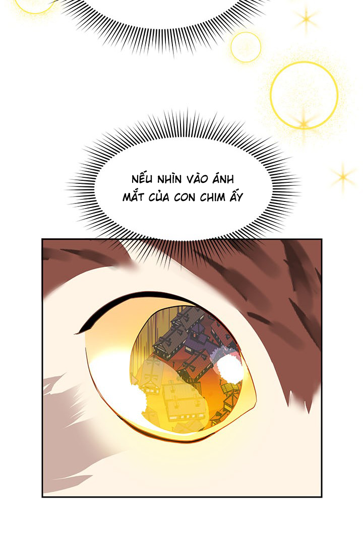 công chúa của loài chim chapter 14 82