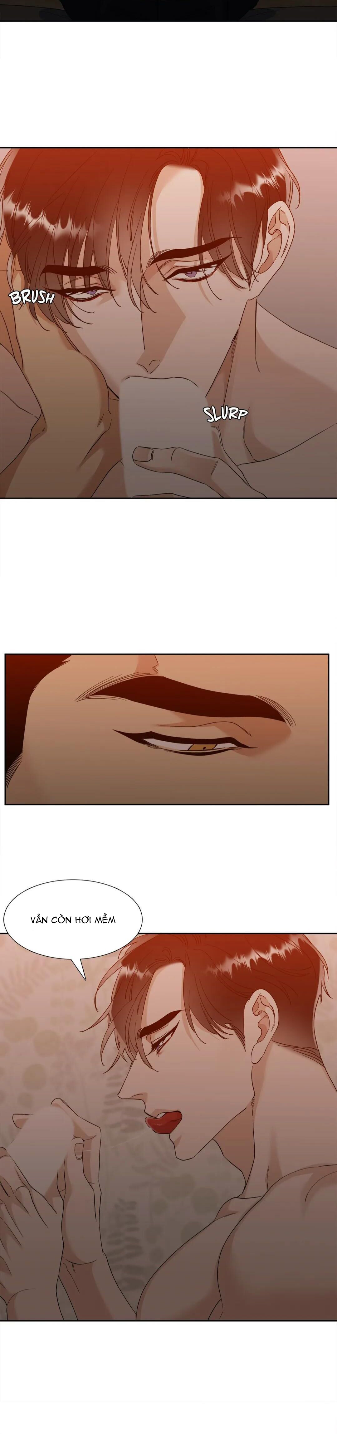 xúc cảm điên cuồng chapter 54.2 12