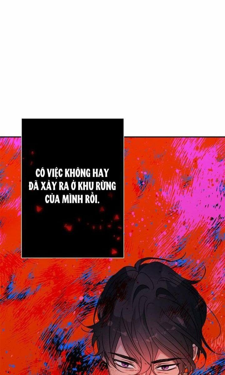 tôi đang nuôi dưỡng một con quái thú chapter 77 17