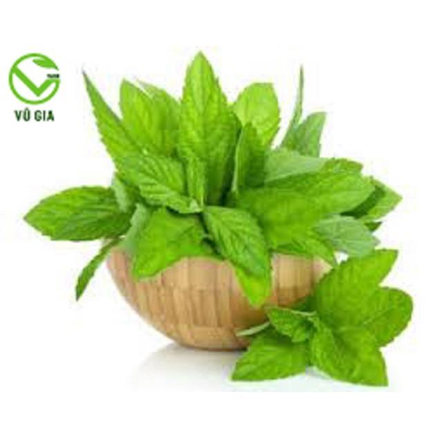 Bột Bạc Hà Sấy Lạnh Nguyên Chất Vũ Gia + Tặng Chai Thủy Tinh Đựng Nước Ép Có Dây Treo 300ml