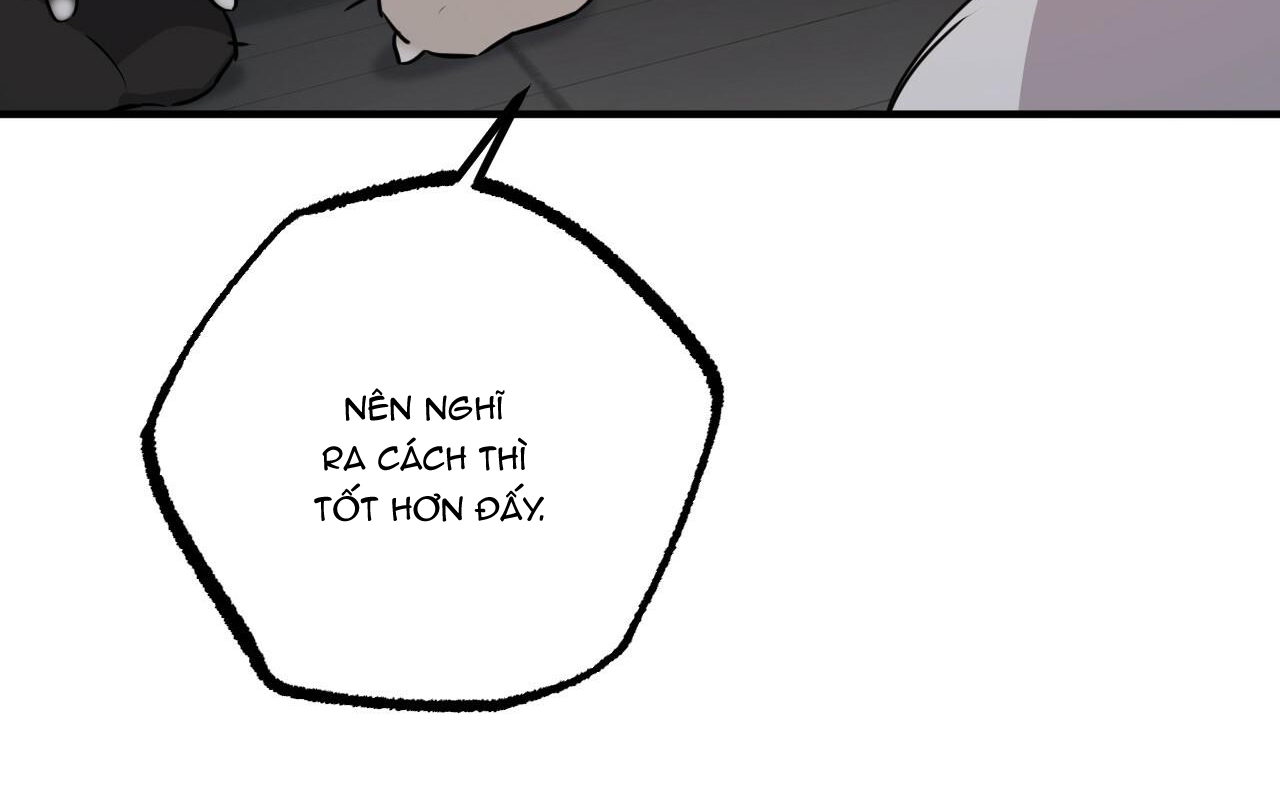 đàn thỏ của habibi chapter 46 157