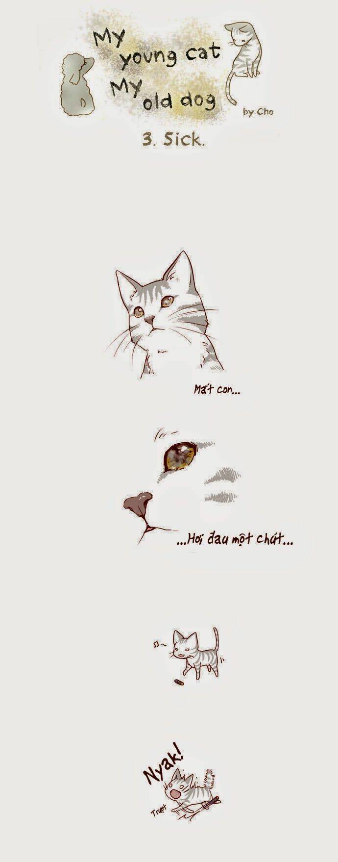 mèo con và chú chó già của tôi chapter 3 1