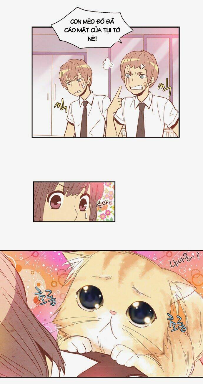 evergreen tea chapter 8 25