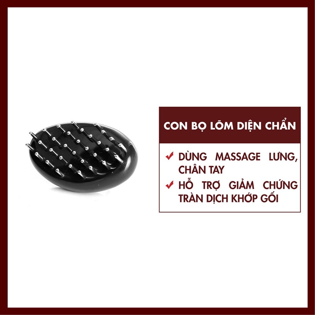 Con bọ lõm diện chẩn