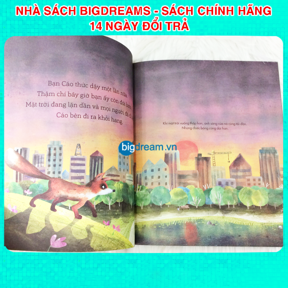 Bạn Cáo trong Đêm - A Science Storybook About Light And Dark Truyện kể cho bé trước giờ đi ngủ phát triển tư duy