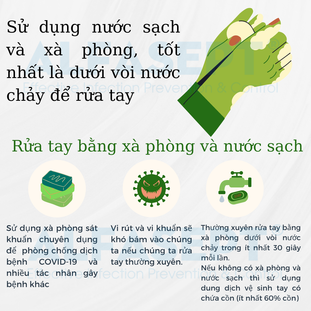 Xà phòng rửa tay ALFASEPT HANDWASH tinh chất trà xanh, sạch khuẩn giữa ẩm da tay