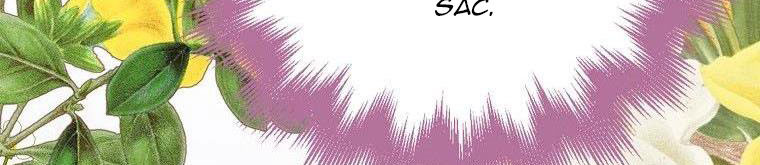 xin hãy kết hôn với em chapter 37 489