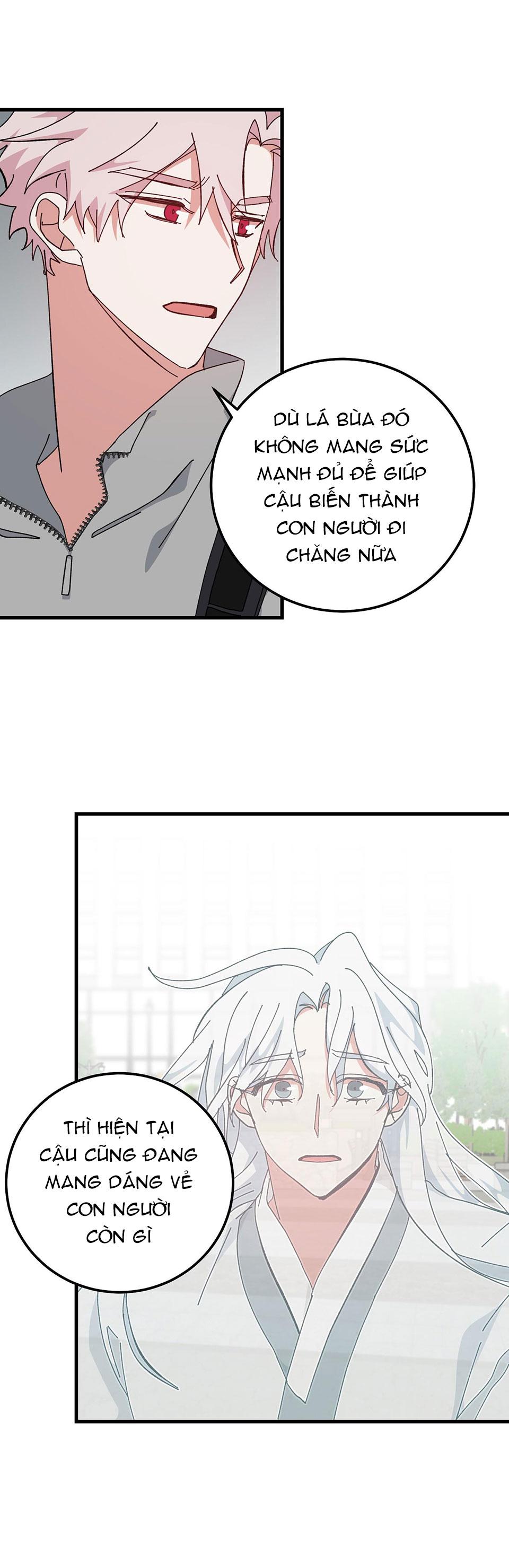 yêu tôi đi, thần hộ mệnh chapter 38 4