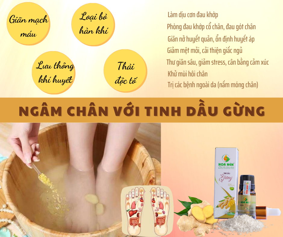 Tinh dầu Gừng nguyên chất Hoa Nén 5ml - Giảm đau đầu, say tàu xe, hỗ trợ tiêu hoá