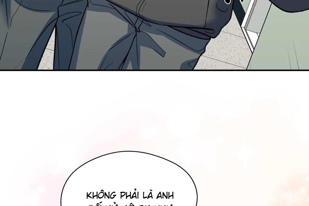 Chứng sợ Pheromone chapter 53