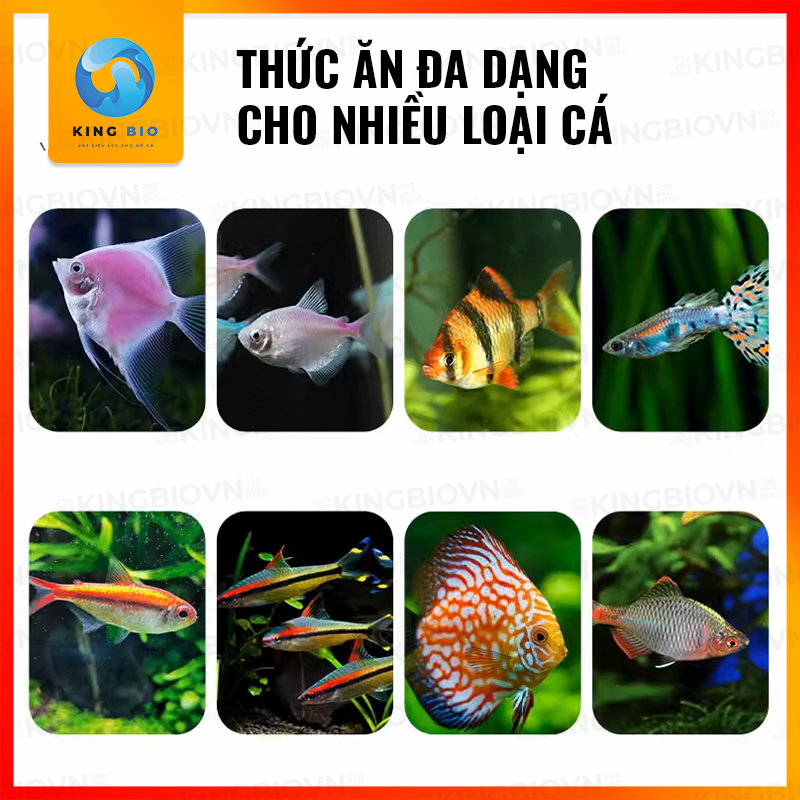 Thức ăn cân bằng dinh dưỡng cho cá cánh buồm và các loại cá nhỏ khác - cám Yee Fish Food